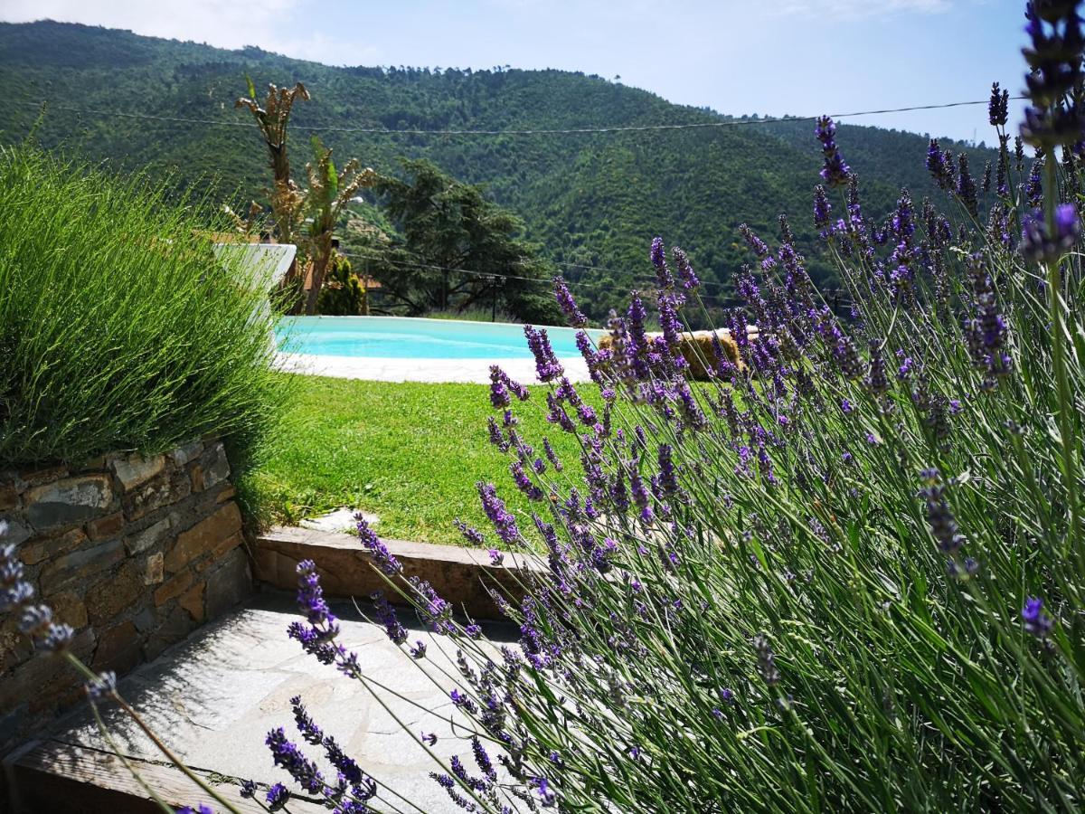 Agriturismo Ca Due Nonu Vallebona Екстер'єр фото